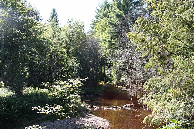 forestry2