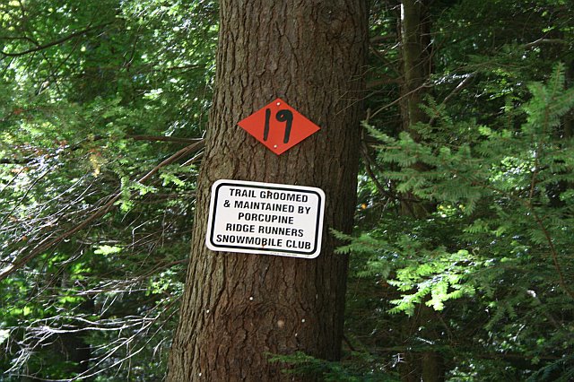 forestry4