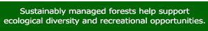 Sustainably managed forests help support ecological diversity and recreational opportunities.